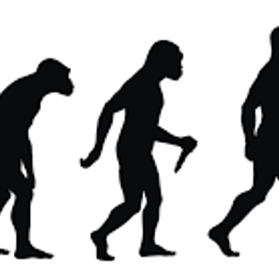 Timeline: Evolución humana