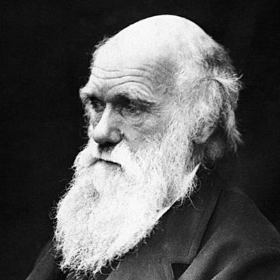 Timeline: Darwin