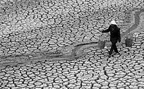1931 The Drought
