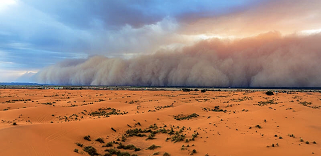 DUST STORMS
