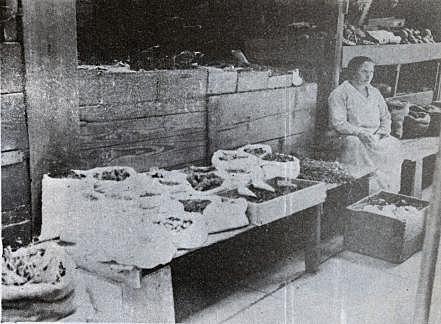 Inauguración de La Merced