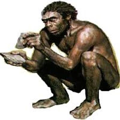 Timeline: Etapes de la història