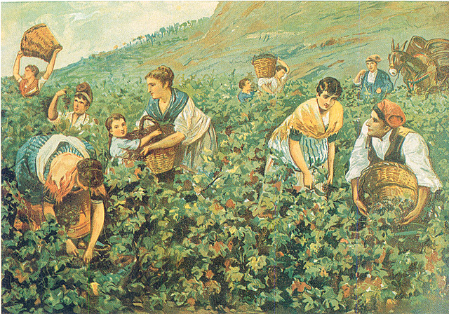 Descoberta de L'agricultura