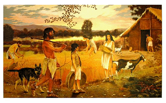 Descoberta Agricultura