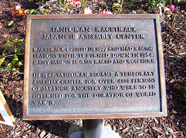 Yoshiharu is removed from his home