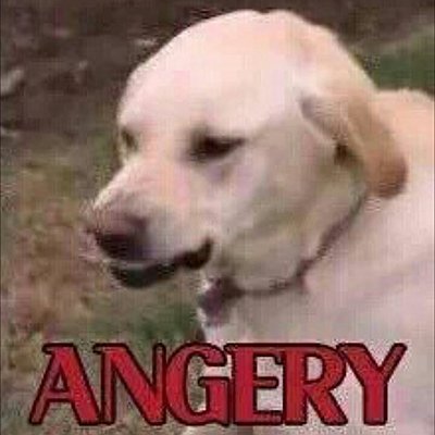 Timeline: The Rise and Fall of Stocks and Stuff