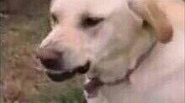 Timeline: The Rise and Fall of Stocks and Stuff