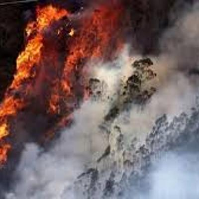 Timeline: Incendios Forestales 2017-2019