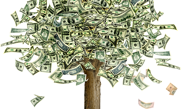 Money Doesn’t Grow On Trees