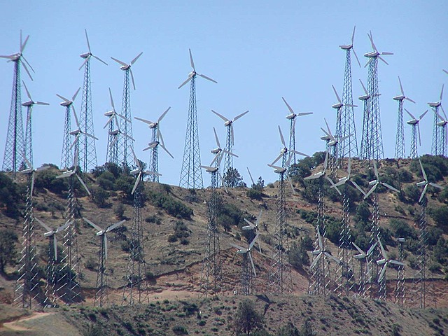 First Large Wind Farms are Installed