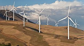 Timeline: Wind Energy