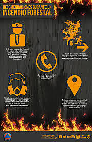 ¿Qué acciones tomar en caso de in incendio forestal?