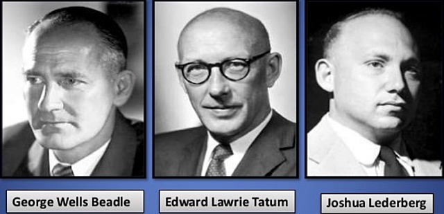 Edward taum y Joshua Lenderbarg