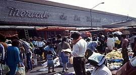 Timeline: Mercado de la merced