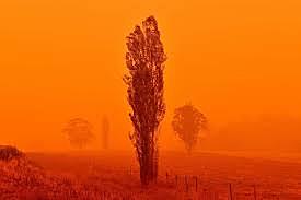 Australie en Feu