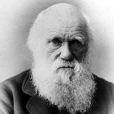 Timeline: darwin