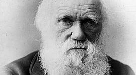 Timeline: darwin