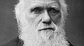 Timeline: Charles Darwin