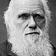 Loffit charles darwin 01 600x450 1518384851