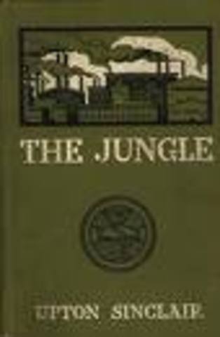 "The Jungle"