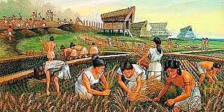 Descobriment agricultura