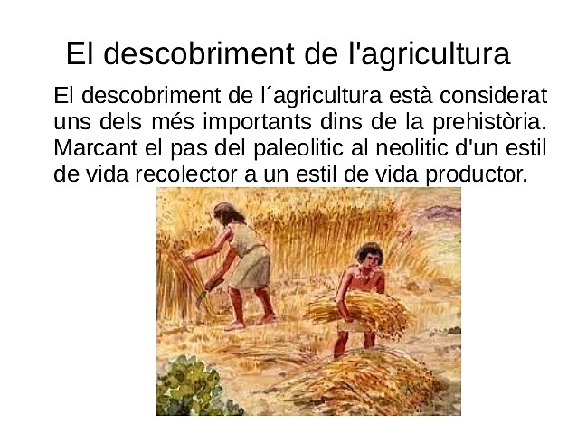 Descobriment agricultura