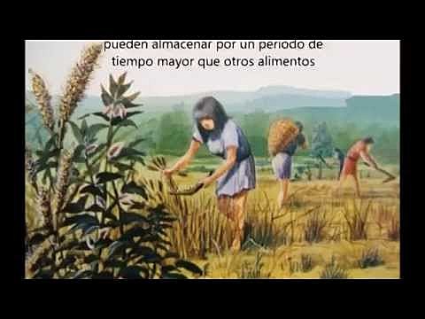 Descobriment agricultura