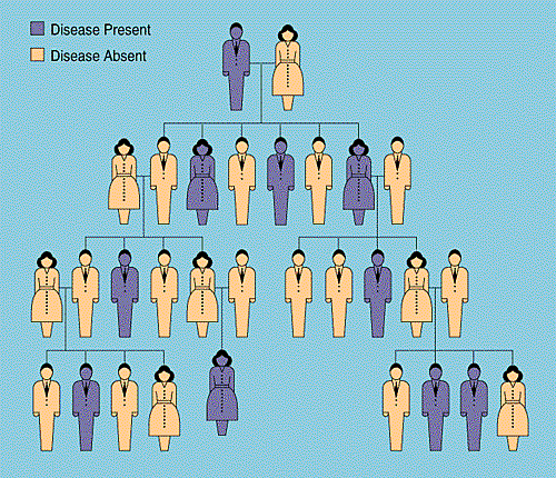 Demostració de l'ADN és el material hereditaria