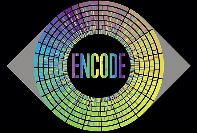 Projecte ENCODE