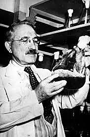 INTRODUCCION DE LOS ANTIBIOTICOS