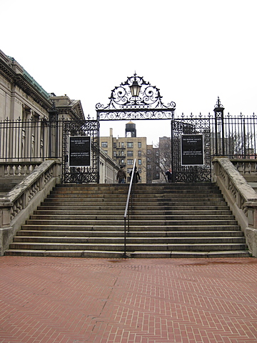 The American Academy