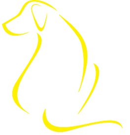 Yellow dog 2.0