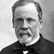 220px louis pasteur