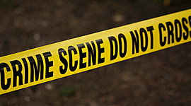 Timeline: The History of CSI