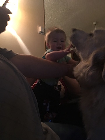 Reaches for things without balance