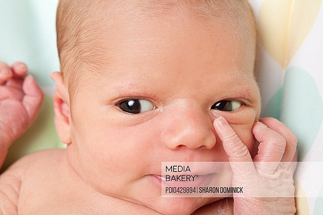 baby brings hang to mouth