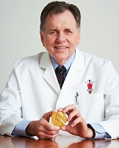 Identificación del Helicobacter pylori