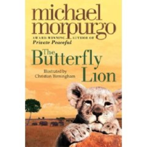 Buterfly lion