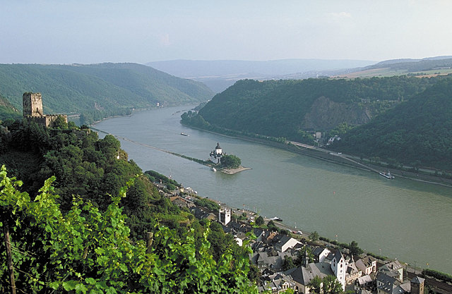 The Rhine River