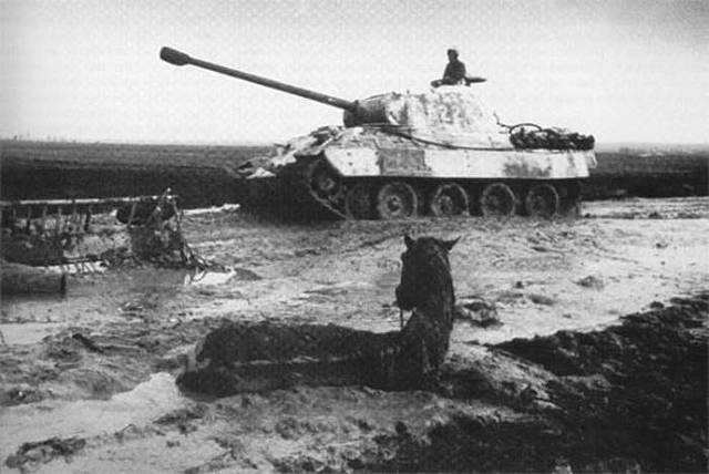 БИТВА НА ВИСЛЕ (ВИСЛО-ОДЕРСКАЯ ОПЕРАЦИЯ)