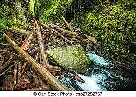 Primeros Diques por Liang Rui