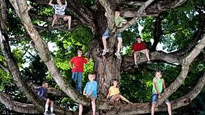 Jean Jacques Rousseau (filosofo suizo)