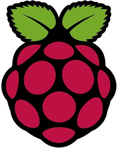 Surge la Raspi