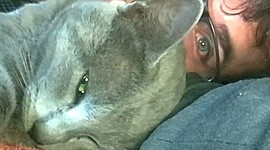 Timeline: SEGMENTACIÓN DE CLIENTE