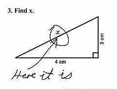 Ley de la Parsimonia