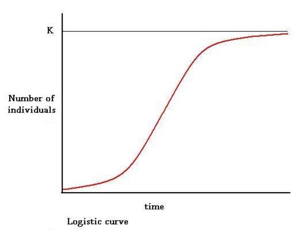 Tuesday April 12, 2011