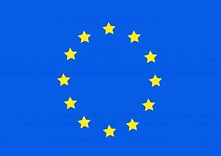 Consejo de Europa establecen los articulos 8° y 1°