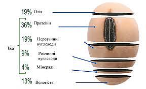 комерционное виробництво гмо