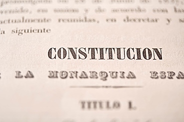 Nueva Constitución (moderada)