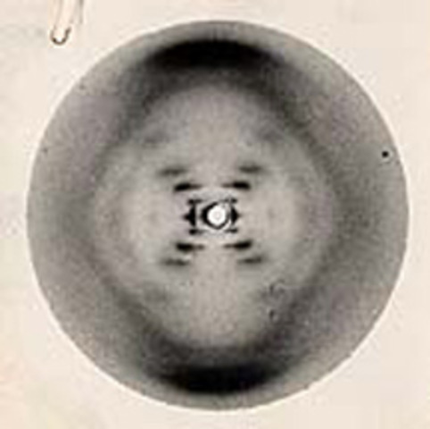 James Watson and Francis Crick